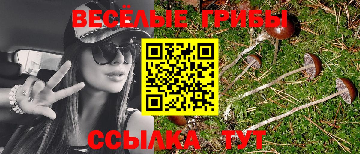 Бийск  Псилоцибиновые грибы мицелий  Вход с VPN 