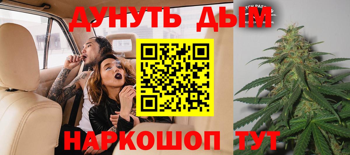 Каннабис сатива Бийск